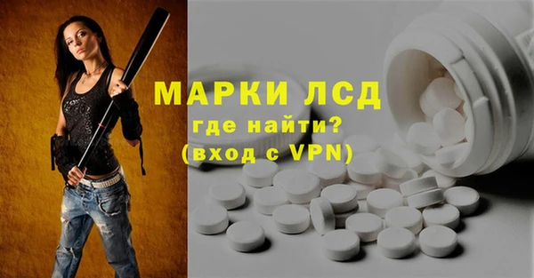 СК Горнозаводск