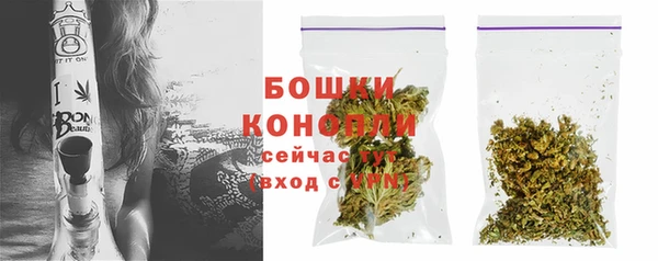 индика Горно-Алтайск