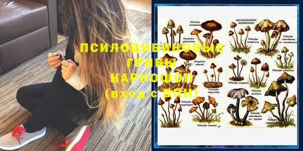 СК Горнозаводск