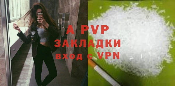индика Горно-Алтайск