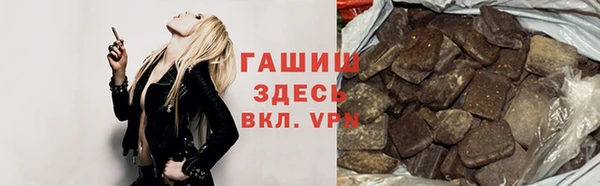 индика Горно-Алтайск