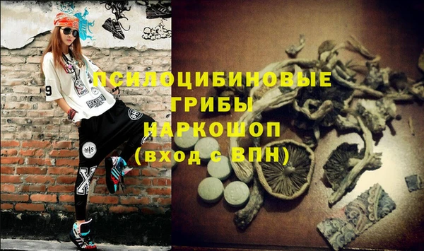 индика Горно-Алтайск