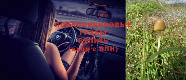 скорость Горняк